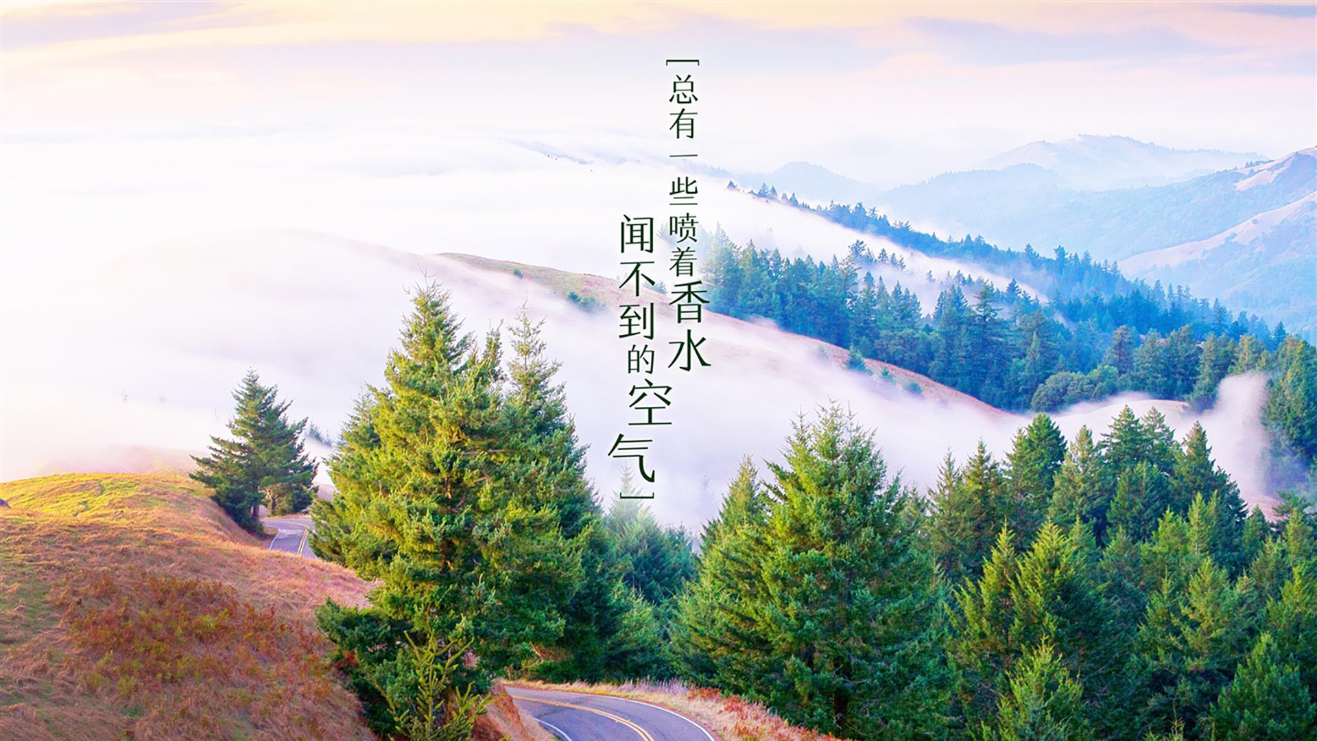 旗帜绘画运动会：艺术与运动的交汇，校运会旗帜设计