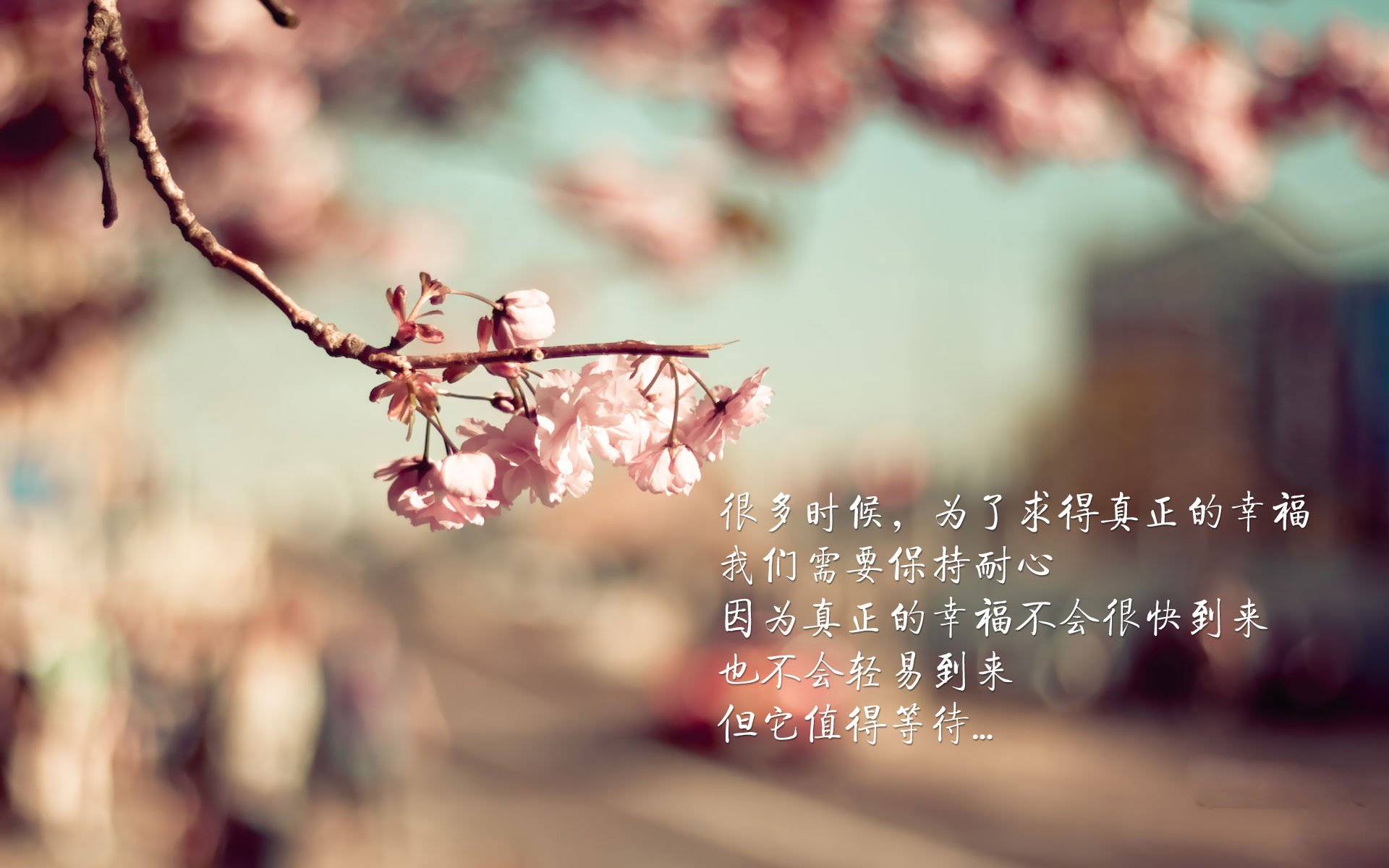 射手关键进球助力球队取胜，射手在篮球比赛中叫什么