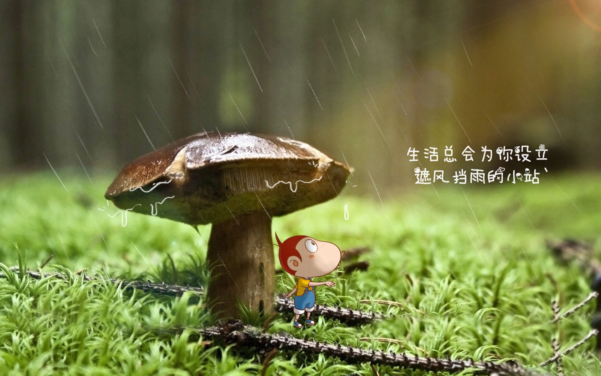 意甲联赛榜首激战，赛季进入白热化，意甲联赛百科