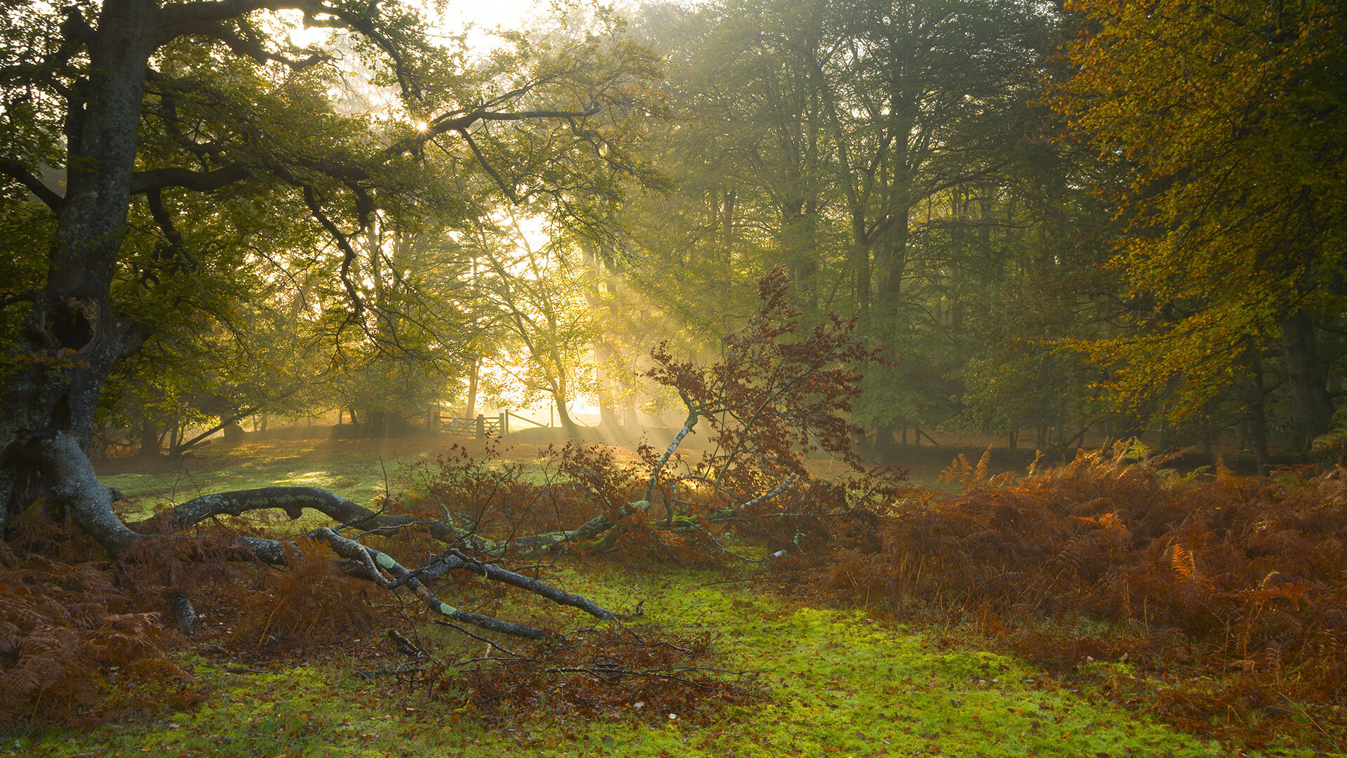九游（jiuyou.com）游戏-中国女足世界杯备战加速 战术演练成重点，中国女足世界杯2022