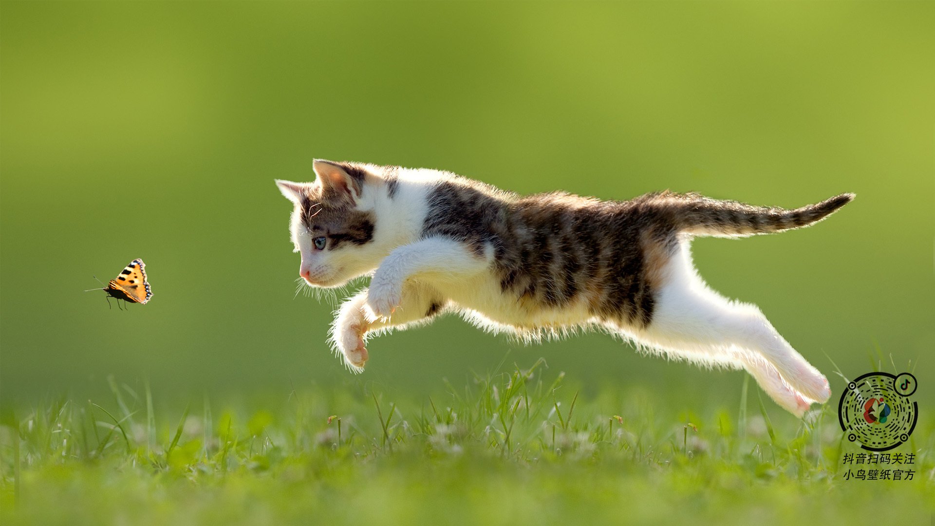 体育新闻中心上线体育赛事舆情监控智能预警平台，体育赛事媒体