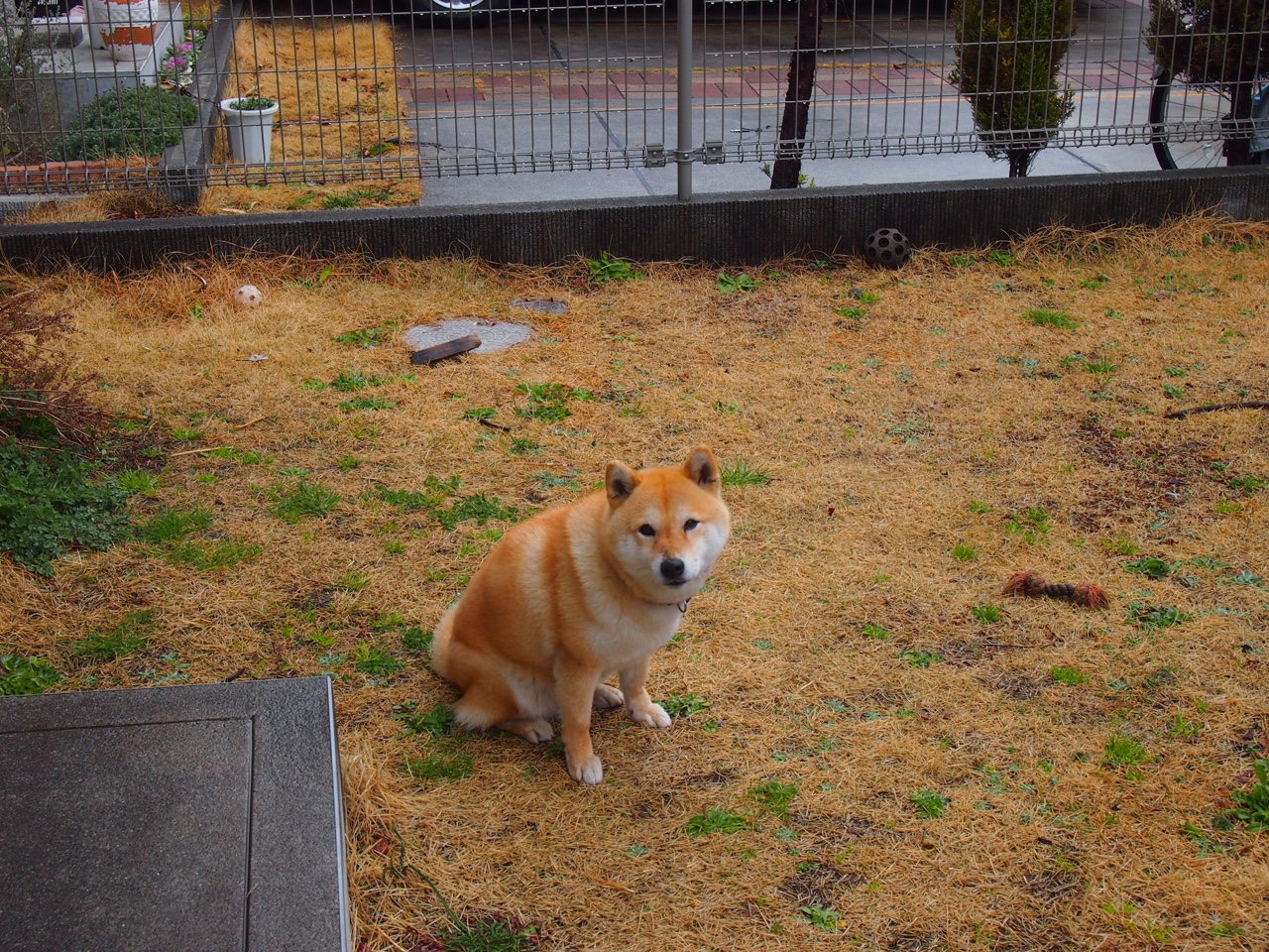 Jiuyou-英雄联盟冠军皮肤设计曝光粉丝期待值拉满，英雄联盟所有冠军系列皮肤