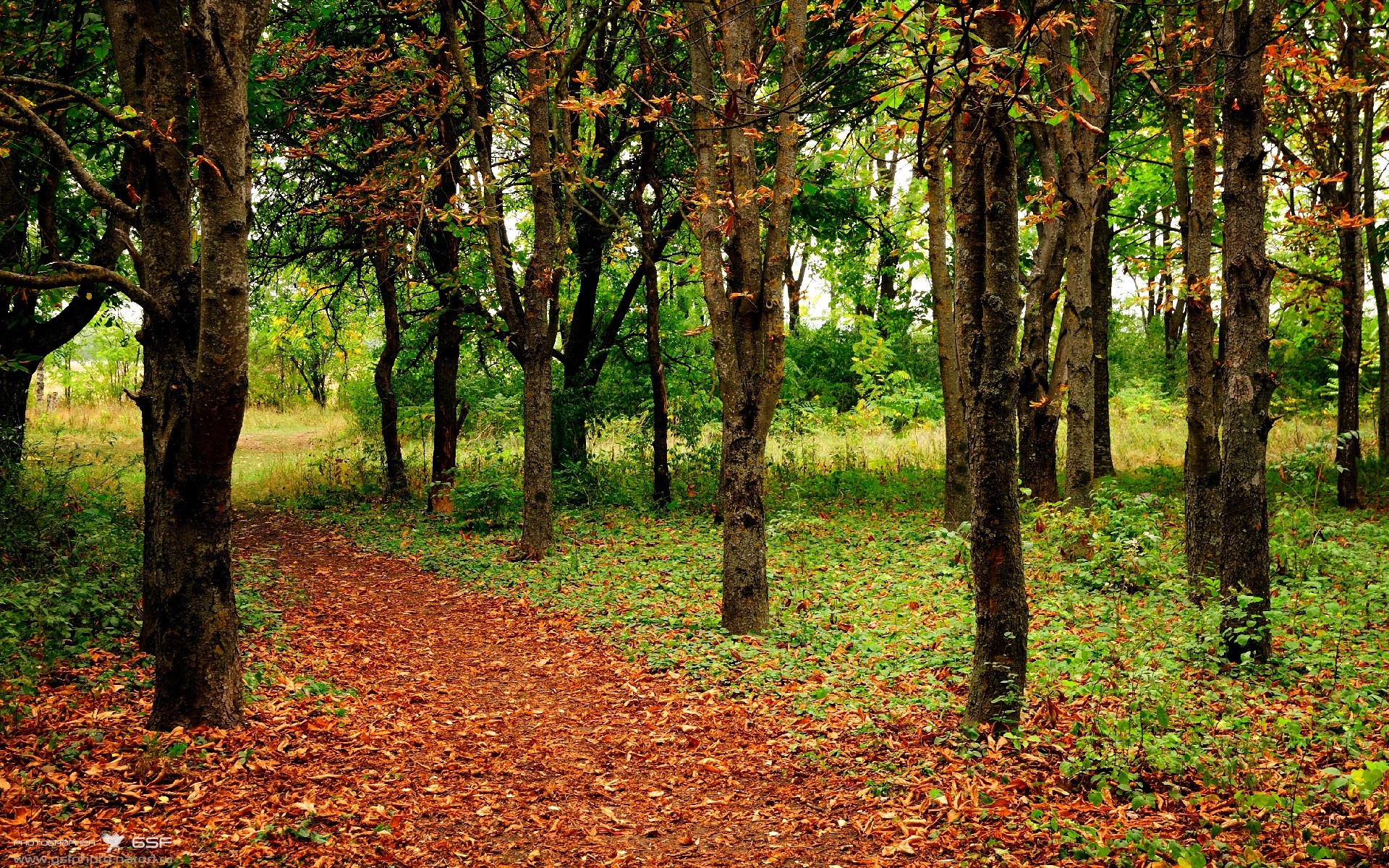 意甲决战时刻:战术和个人技艺的舞台,意甲决赛时间