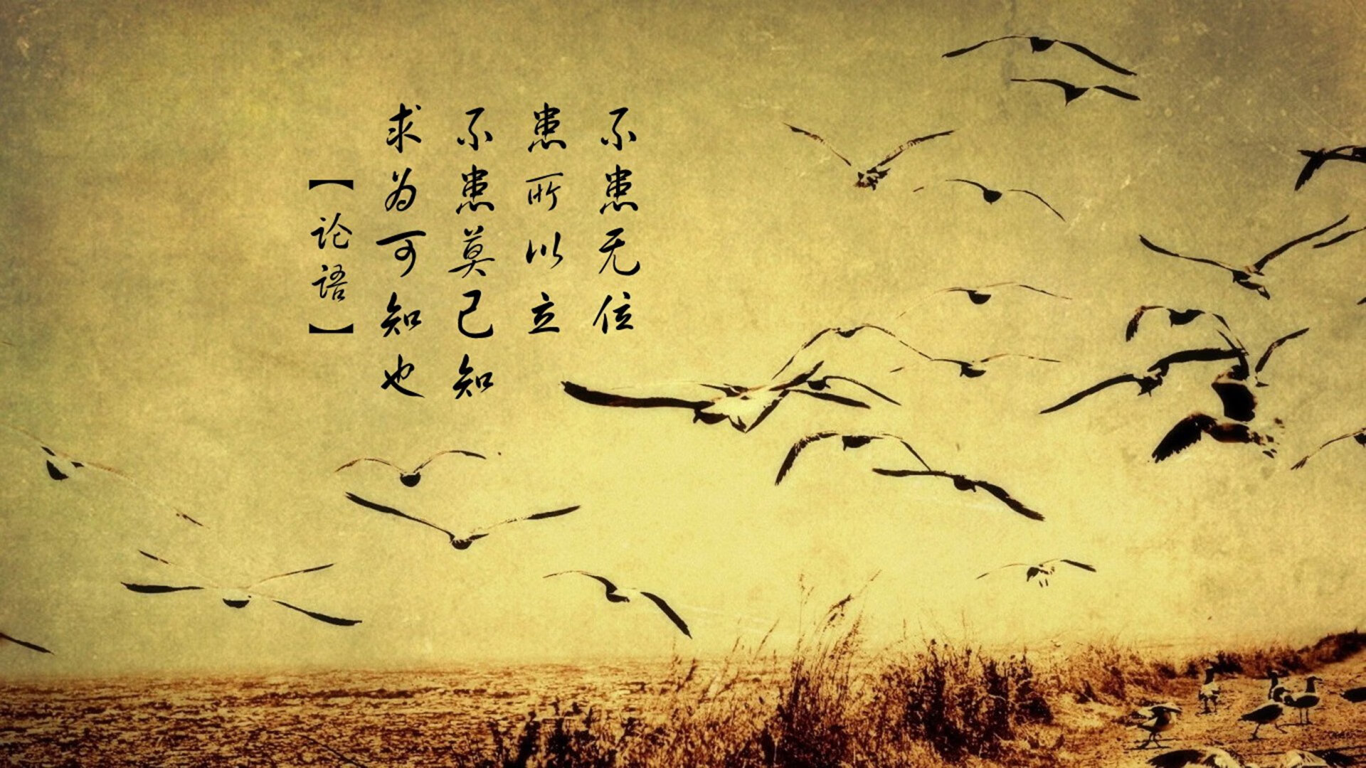 数字足球战略合作项目落地，推动虚拟体育产业发展，数字化足球