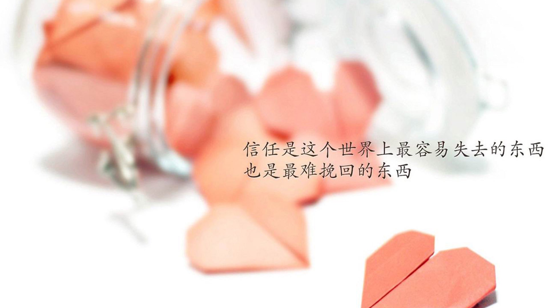 艾比·德尔福：南非队防守的中坚力量，以高效的拦截减少失球，比尔和艾德